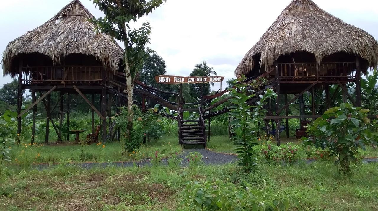 Sunny Field Eco Stilt House Villa Cat Tien Exterior photo