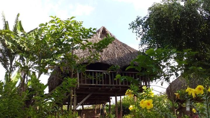 Sunny Field Eco Stilt House Villa Cat Tien Exterior photo